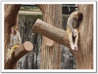 /album/fotogaleria/ticha_domacnost/