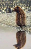 /album/fotogaleria/maco_vzpriameny/