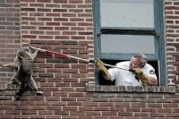 /album/fotogaleria/cica_2/