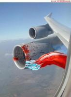 /album/fotogaleria/parasutista/