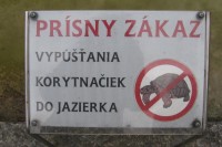 /album/fotogaleria/korytnacky-jpg/